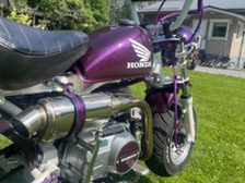 Honda Monkey