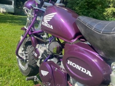 Honda Monkey