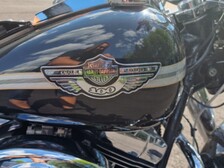Harley-Davidson Softail