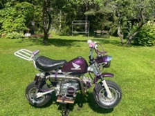 Honda Monkey
