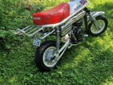 Suzuki PV