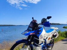 Suzuki DR