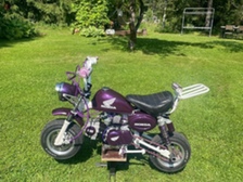 Honda Monkey