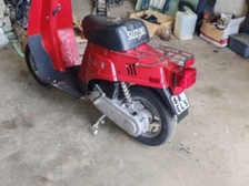 Suzuki Love