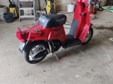 Suzuki Love