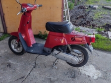 Suzuki Love