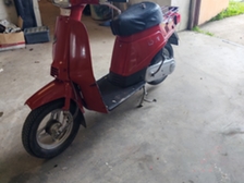 Suzuki Love