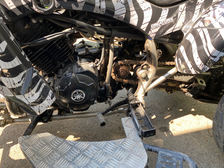 Yamaha Raptor
