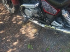Honda VF