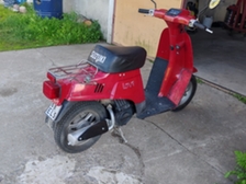 Suzuki Love