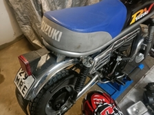 Suzuki PV