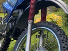 Yamaha DT