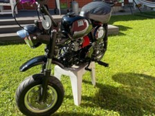 Zhenua Monkey