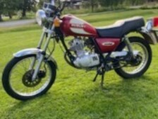 Suzuki GN