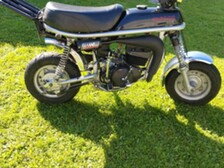 Suzuki PV
