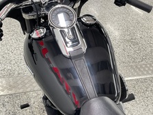 Harley-Davidson Softail