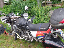 Honda XRV