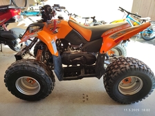 Polaris Predator