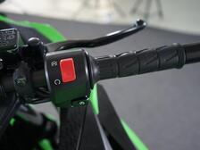 Kawasaki Ninja