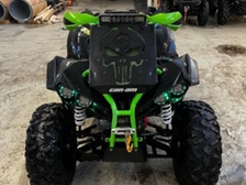 Can-Am renegade