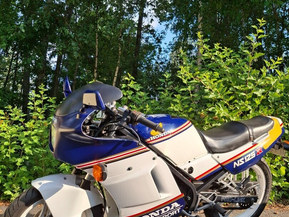 Honda NS