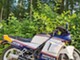Honda NS
