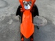 KTM 125