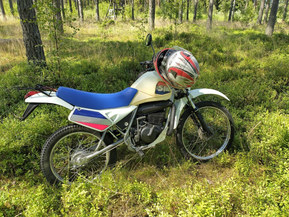 Suzuki S-1