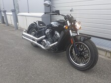 Indian Scout