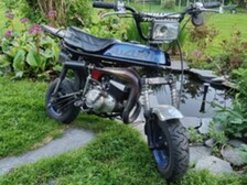 Suzuki PV