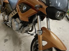 BMW F