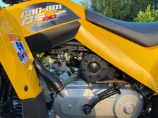 Can-Am DS