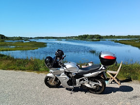 Suzuki GSF