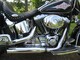 Harley-Davidson Softail