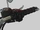 Harley-Davidson Softail