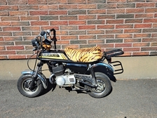 Suzuki PV