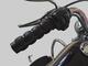 Harley-Davidson Softail