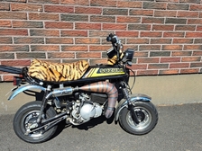 Suzuki PV
