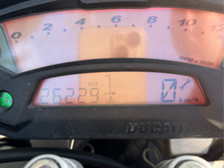 Ducati Monster