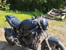 Suzuki GSX