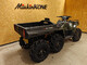 Polaris Bigboss 6X6