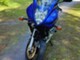 Suzuki GS