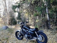Honda VF