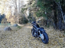 Honda VF