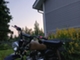 Conan St-50