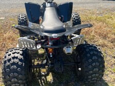 Can-Am DS