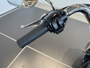 Harley-Davidson Softail