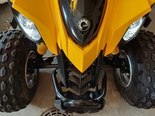 Can-Am DS