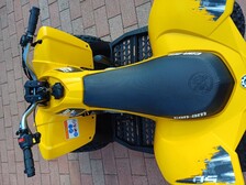 Can-Am DS