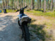 Yamaha YZ